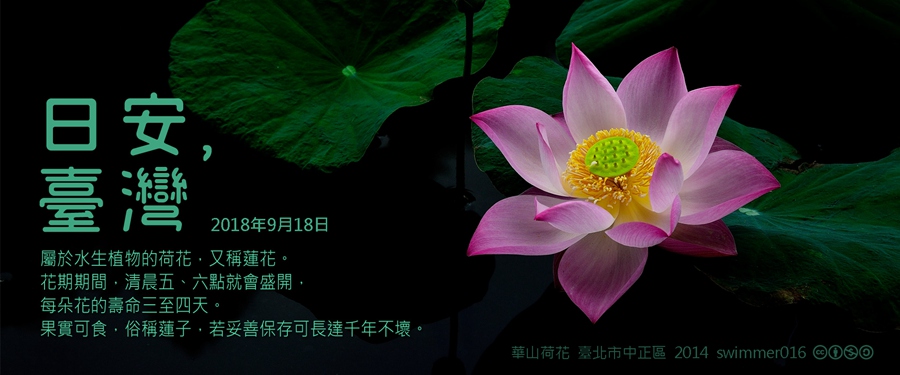 365 日安，臺灣之2018年9月18日